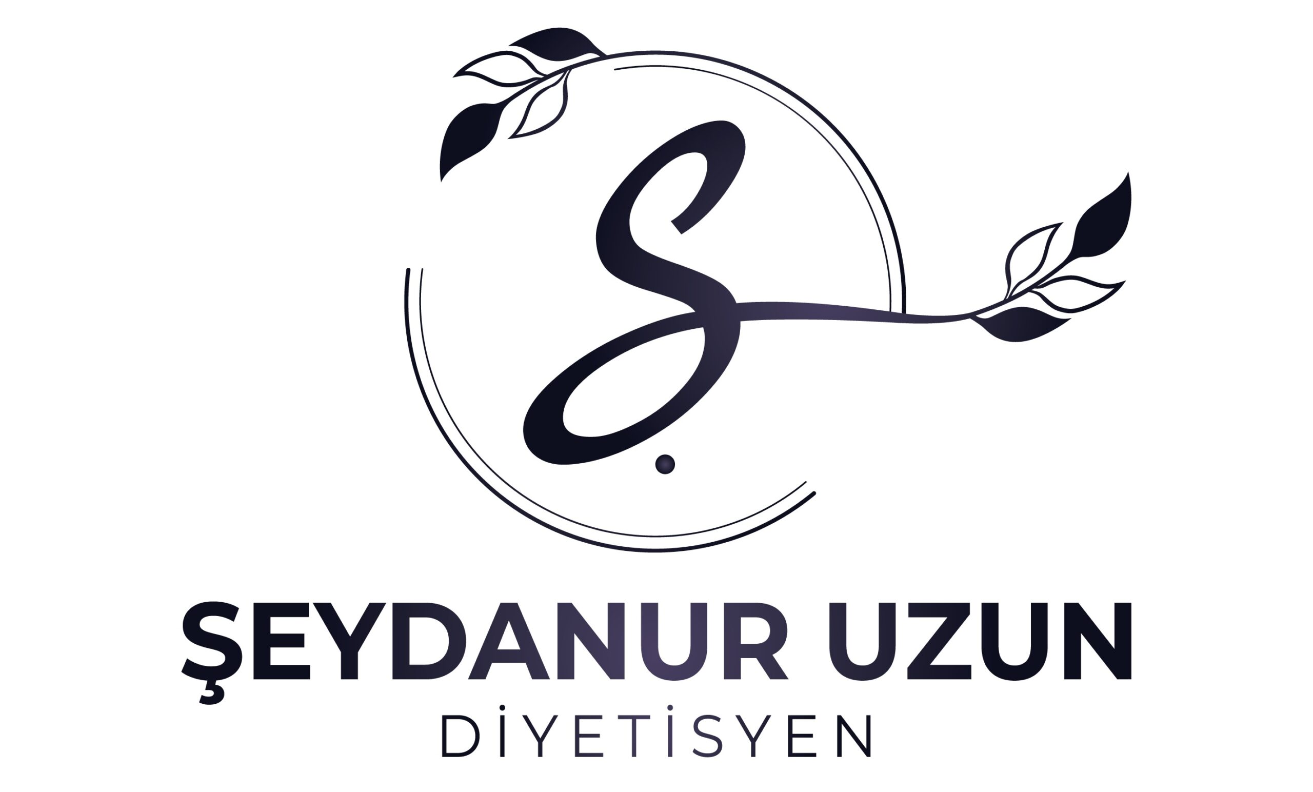 seydanuruzun-02